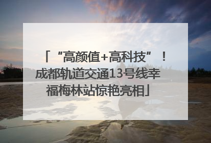 “高颜值+高科技”！成都轨道交通13号线幸福梅林站惊艳亮相