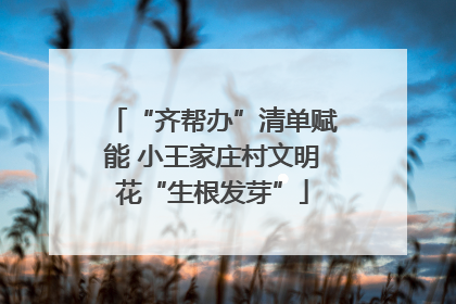“齐帮办”清单赋能 小王家庄村文明花“生根发芽”