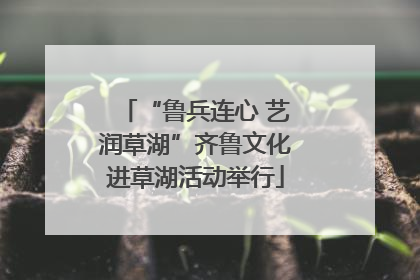 “鲁兵连心 艺润草湖”齐鲁文化进草湖活动举行