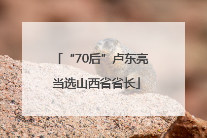 “70后”卢东亮当选山西省省长