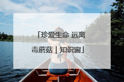 珍爱生命 远离毒蘑菇｜知识窗