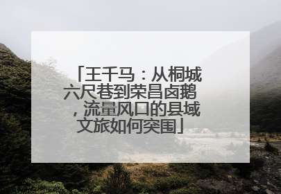 王千马：从桐城六尺巷到荣昌卤鹅，流量风口的县域文旅如何突围