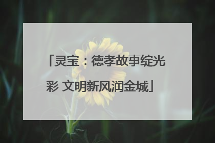 灵宝：德孝故事绽光彩 文明新风润金城