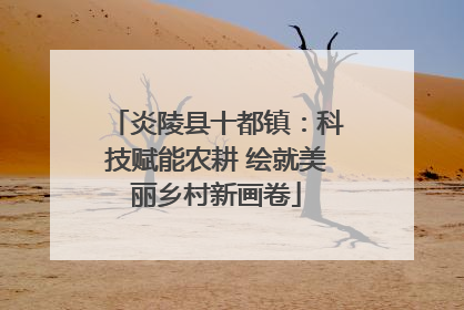 炎陵县十都镇：科技赋能农耕 绘就美丽乡村新画卷