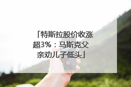 特斯拉股价收涨超3%：马斯克父亲劝儿子低头