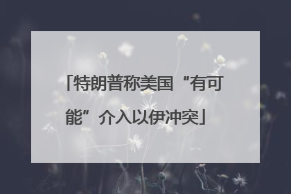 特朗普称美国“有可能”介入以伊冲突