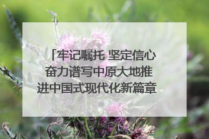 牢记嘱托 坚定信心 奋力谱写中原大地推进中国式现代化新篇章（六）河南绘就“行走河南·读懂中国”新画卷丨牢记嘱托谱新篇
