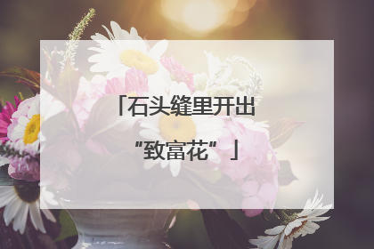 石头缝里开出“致富花”