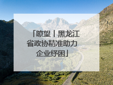 瞭望丨黑龙江省政协精准助力企业纾困