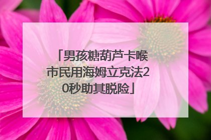 男孩糖葫芦卡喉 市民用海姆立克法20秒助其脱险