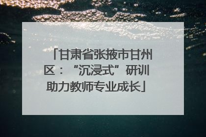 甘肃省张掖市甘州区：“沉浸式”研训助力教师专业成长