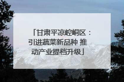 甘肃平凉崆峒区：引进蔬菜新品种 推动产业提档升级
