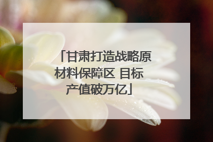 甘肃打造战略原材料保障区 目标产值破万亿