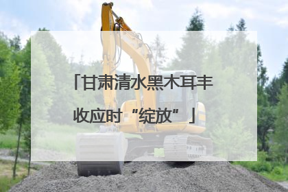 甘肃清水黑木耳丰收应时“绽放”