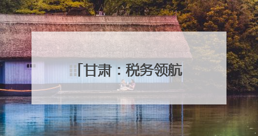 甘肃：税务领航 助企合规前行