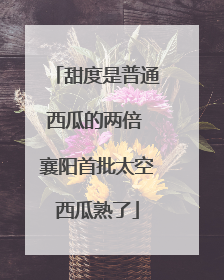 甜度是普通西瓜的两倍 襄阳首批太空西瓜熟了