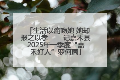 生活以痛吻她 她却报之以孝——记嘉禾县2025年一季度“嘉禾好人”罗何周