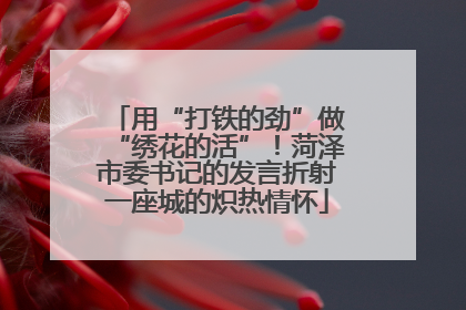 用“打铁的劲”做“绣花的活”！菏泽市委书记的发言折射一座城的炽热情怀