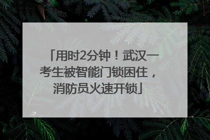 用时2分钟！武汉一考生被智能门锁困住，消防员火速开锁