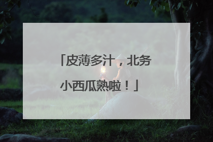 皮薄多汁，北务小西瓜熟啦！