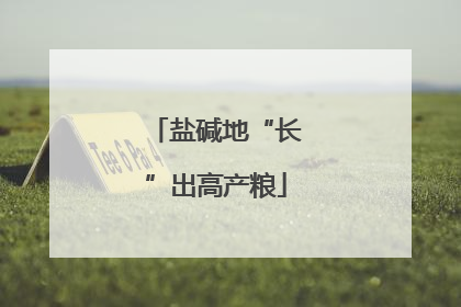 盐碱地“长”出高产粮