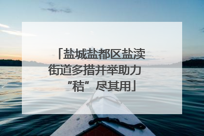 盐城盐都区盐渎街道多措并举助力“秸”尽其用