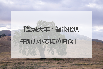 盐城大丰：智能化烘干助力小麦颗粒归仓