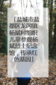 盐城市盐都区龙冈镇杨斌村组织儿童参观杨斌烈士纪念馆，传承红色基因