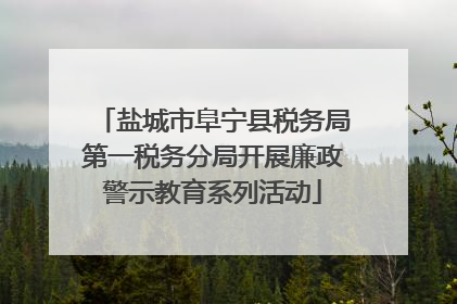盐城市阜宁县税务局第一税务分局开展廉政警示教育系列活动