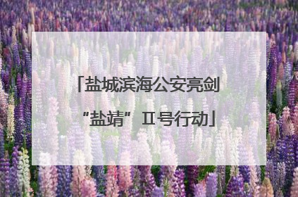 盐城滨海公安亮剑“盐靖”Ⅱ号行动
