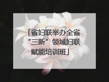 省妇联举办全省“三新”领域妇联赋能培训班