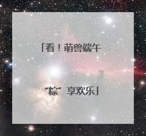 看！萌兽端午“粽”享欢乐