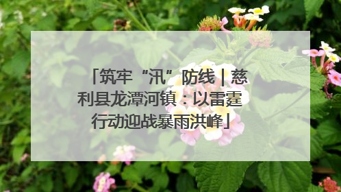 筑牢“汛”防线｜慈利县龙潭河镇：以雷霆行动迎战暴雨洪峰