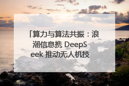 算力与算法共振：浪潮信息携 DeepSeek 推动无人机技术在舟山落地