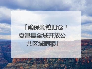 确保颗粒归仓！夏津县全域开放公共区域晒粮