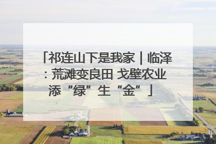 祁连山下是我家｜临泽：荒滩变良田 戈壁农业添“绿”生“金”