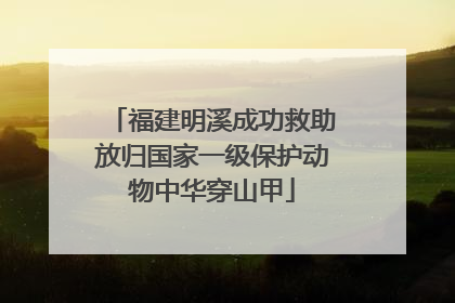 福建明溪成功救助放归国家一级保护动物中华穿山甲