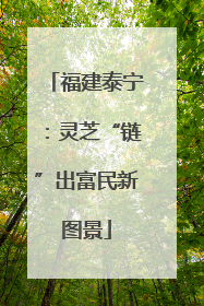 福建泰宁：灵芝“链”出富民新图景