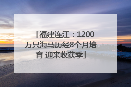 福建连江：1200万只海马历经8个月培育 迎来收获季