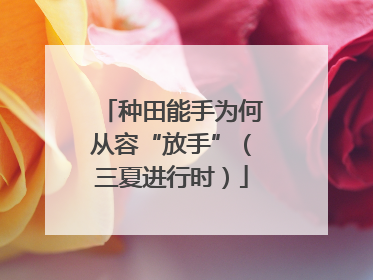 种田能手为何从容“放手”（三夏进行时）