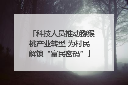 科技人员推动猕猴桃产业转型 为村民解锁“富民密码”