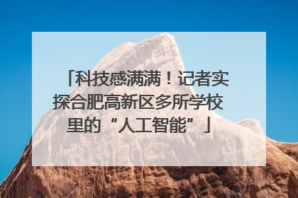 科技感满满！记者实探合肥高新区多所学校里的“人工智能”