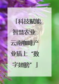 科技赋能智慧农业 云南咖啡产业插上“数字翅膀”
