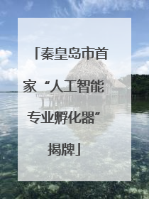 秦皇岛市首家“人工智能专业孵化器”揭牌