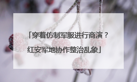 穿着仿制军服进行商演？红安军地协作整治乱象