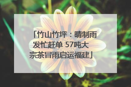 竹山竹坪：晴制雨发忙赶单 57吨大宗茶冒雨启运福建