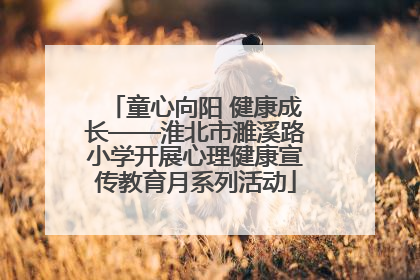 童心向阳 健康成长——淮北市濉溪路小学开展心理健康宣传教育月系列活动
