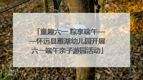 童趣六一 粽享端午——怀远县雁湖幼儿园开展六一端午亲子游园活动