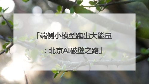 端侧小模型跑出大能量：北京AI破壁之路