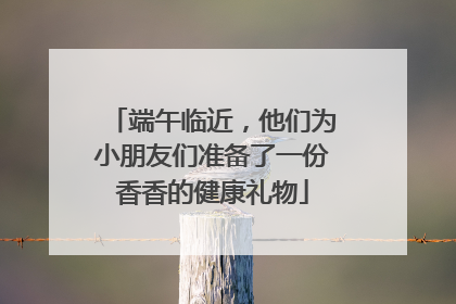 端午临近，他们为小朋友们准备了一份香香的健康礼物